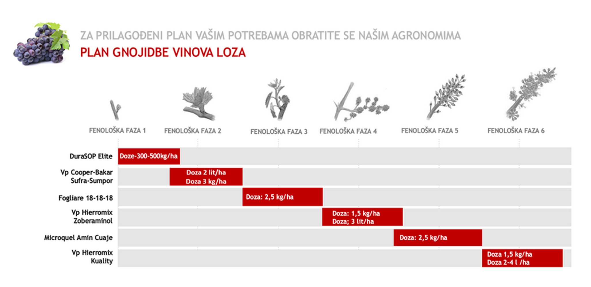Vinova loza - program gnojidbe