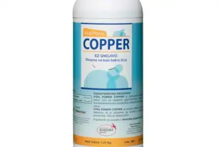 Paunovo oko prijeti maslinicima: učinkovita preventiva uz VP Copper